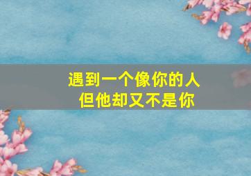 遇到一个像你的人 但他却又不是你